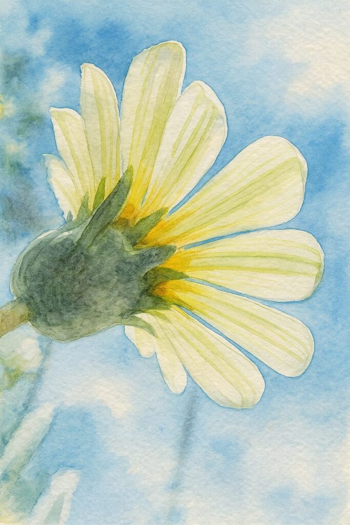 青空を背景に、白いガザニアの花を裏側から描いた水彩画風イラスト。透き通る花びらと繊細な陰影が美しく表現されている