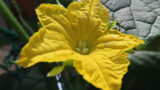 3836_0