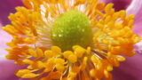 AfAg9XeNky_0NP50SY8DiZb3WflqECTpG-D0Hdo_rg1a4WkZPISQePFd8fEGVX4