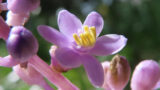 AfB0EWZBlL0idzFp977R4uzuEpQLklO_TDpGYDdQOSk5aijvA1CeDUUoKu8X1UY