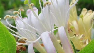 AfCIt5oI7A1jfq9402kw5DSbRdpFptX5xZpOtji5dXcCkMIi_7BHf197H1gB8uc