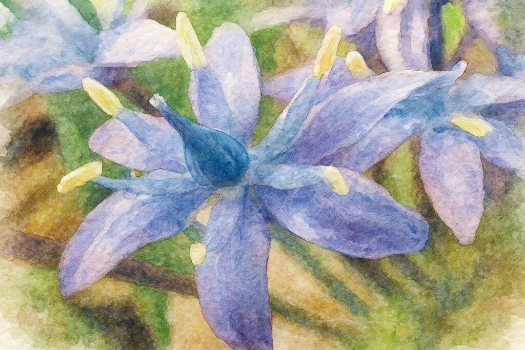 シラーペルビアナの青紫色の花を柔らかな水彩タッチで描いたボタニカルイラスト