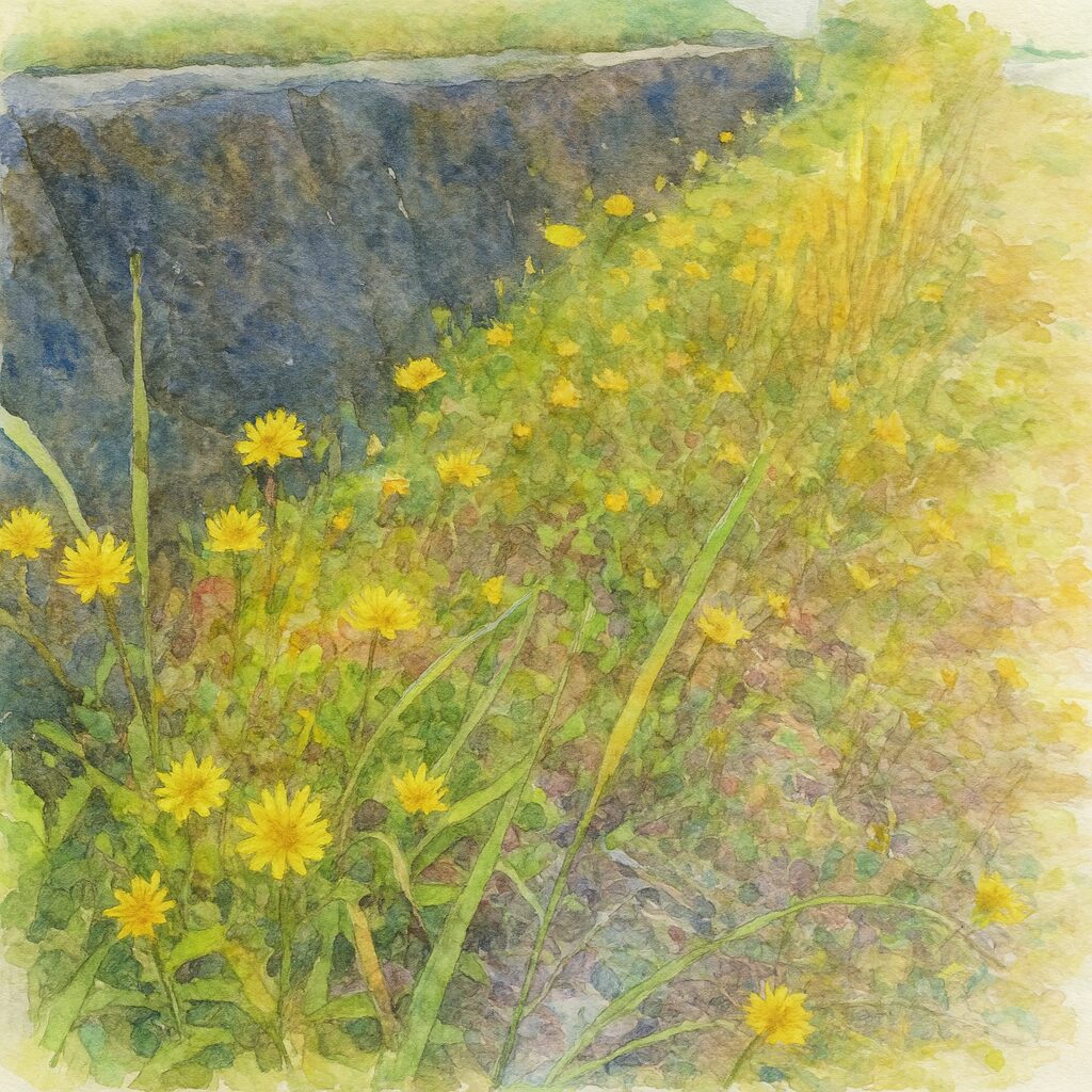 道路脇の土手に咲くジシバリの群生を描いた水彩画風イラスト。黄色い花が斜面一帯に広がる様子を柔らかなタッチで表現した風景作品