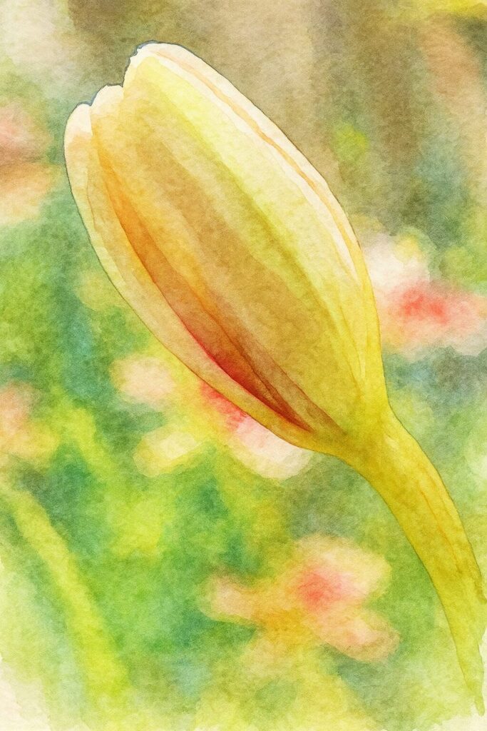 ヒメヒオウギの淡い黄色のつぼみを水彩画風に描いたイラスト。つぼみの赤みがかったラインを柔らかい筆致で表現し、背景の緑とピンクが滲むように広がる