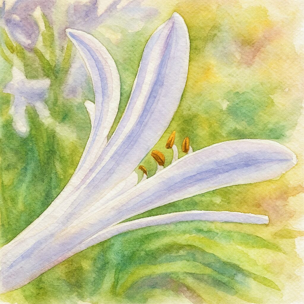 アガパンサスの花弁を横向きに描いた水彩画風イラスト。淡い紫色の花びらの曲線と雄しべが柔らかいタッチで表現された植物画