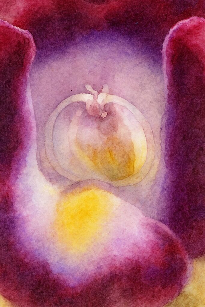 水彩画風に描いたトレニアの花の内側イラスト｜抽象 art のような色彩表現が魅力