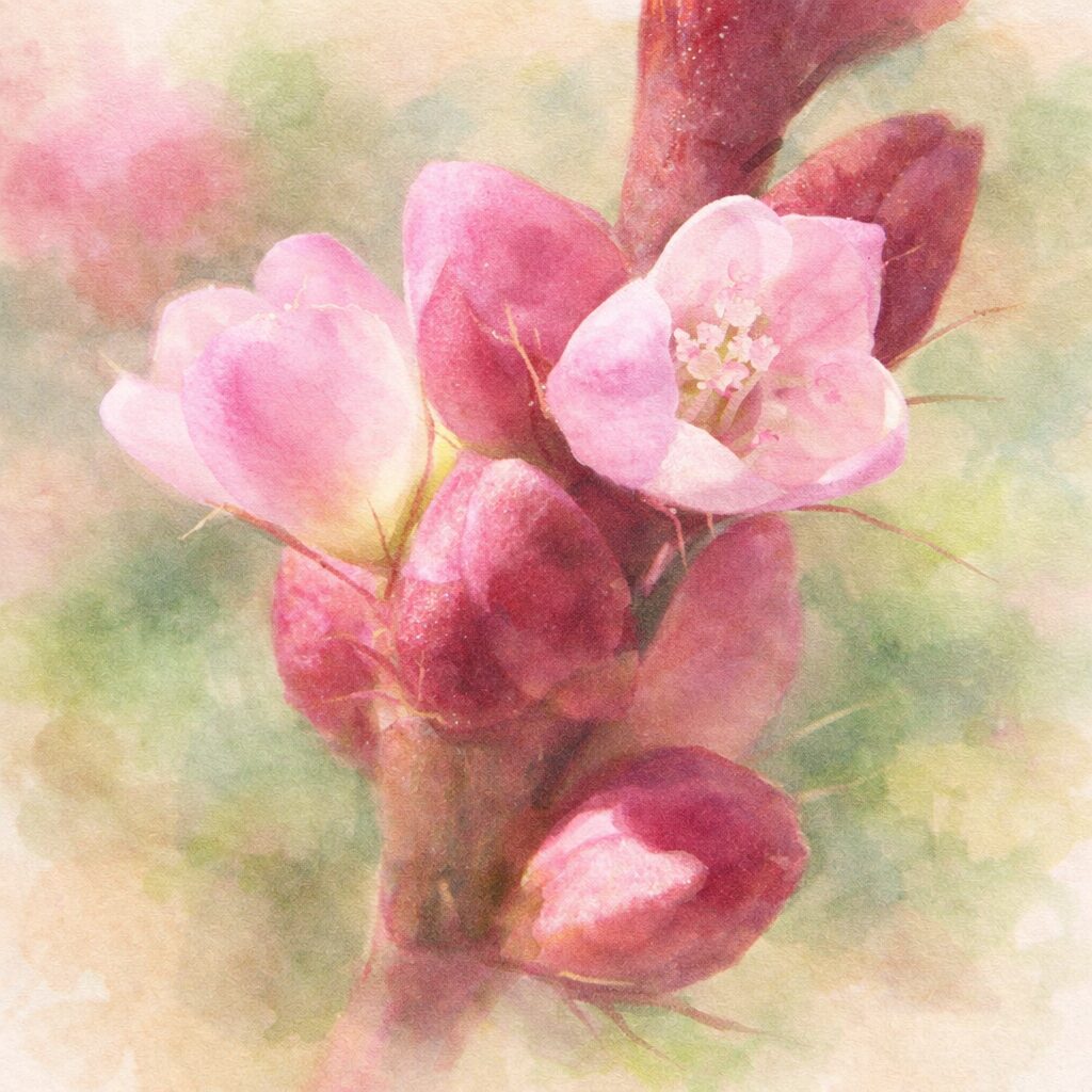 イヌタデの花をモチーフにした手描き水彩画風イラスト。ピンク色の小花と赤い花序をふんわりとした優しい筆致で描き、背景は淡い緑でぼかした絵画的な正方形構図。