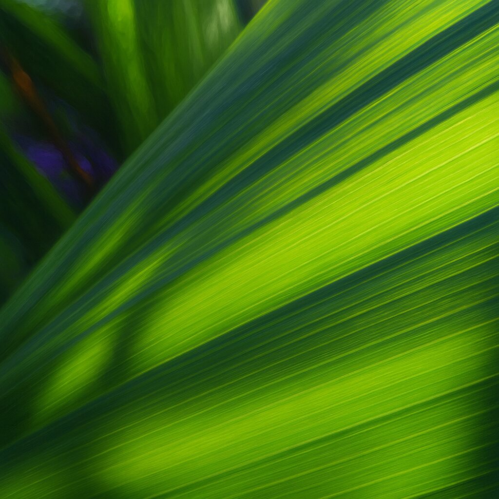 朝日を受けるシランの葉の光の筋まで描き込まれたイラスト