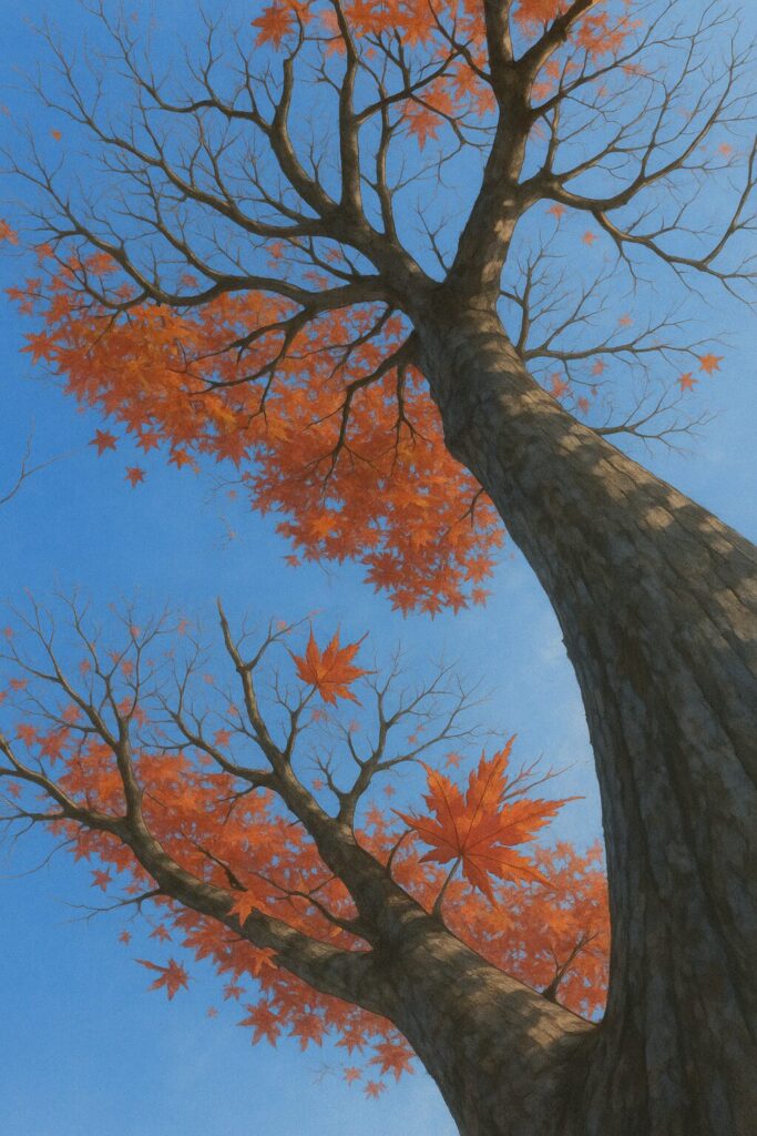 モミジの無料(フリー)イラスト