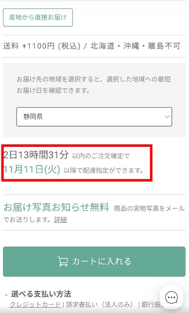 配送可能日の案内画面で「2日13時間31分以内のご注文確定で11月11日（火）以降で配達指定ができます」と表示されている注文画面のスクリーンショット。