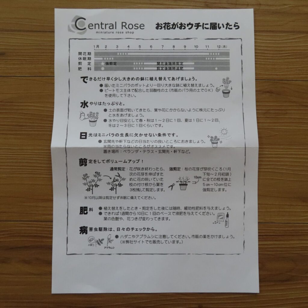 HitoHanaで届いたセントラルローズ10号鉢に同封されていた育て方の案内用紙｜水やり方法や日光・肥料・剪定のポイントが書かれた説明書