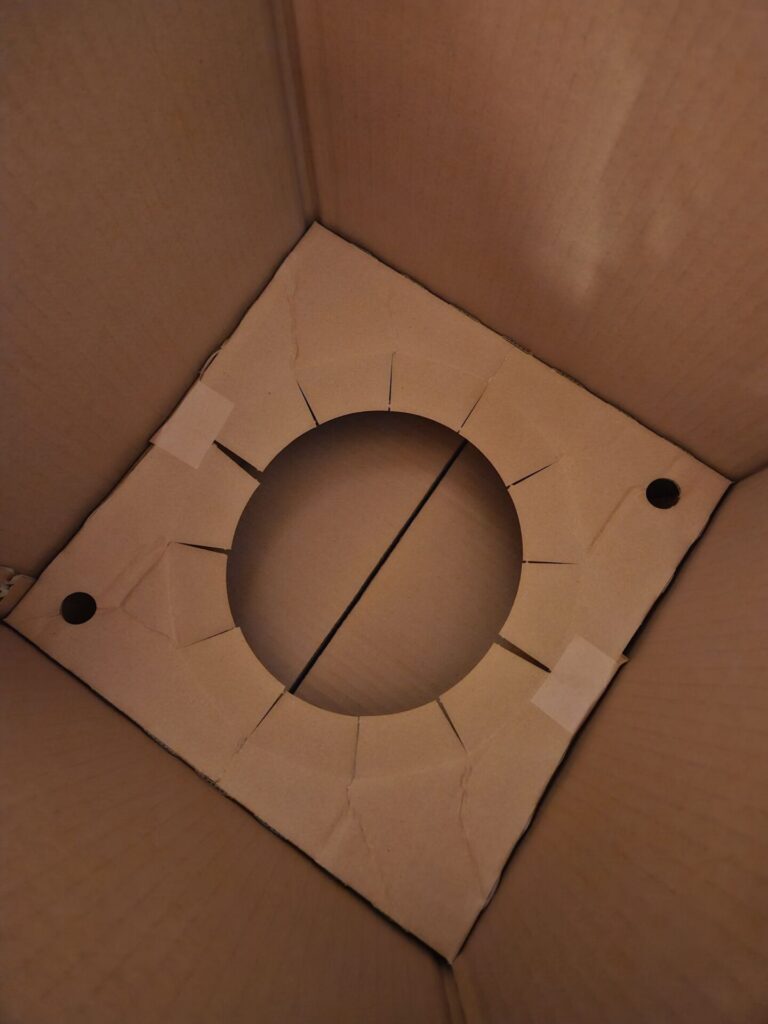 HitoHanaで届いたミニバラ10号鉢の段ボール内部。鉢が動かないように円形にくり抜かれた固定リングで支えている梱包構造の写真
