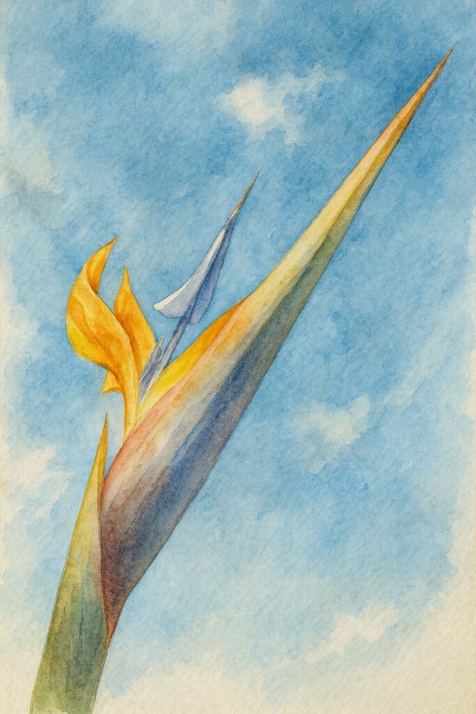 青空に向かって伸びるストレリチアを描いた水彩画風イラスト